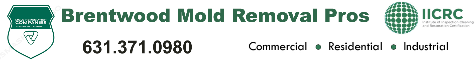 Brentwood Mold Removal Pros